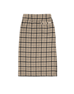 Steady Skirt