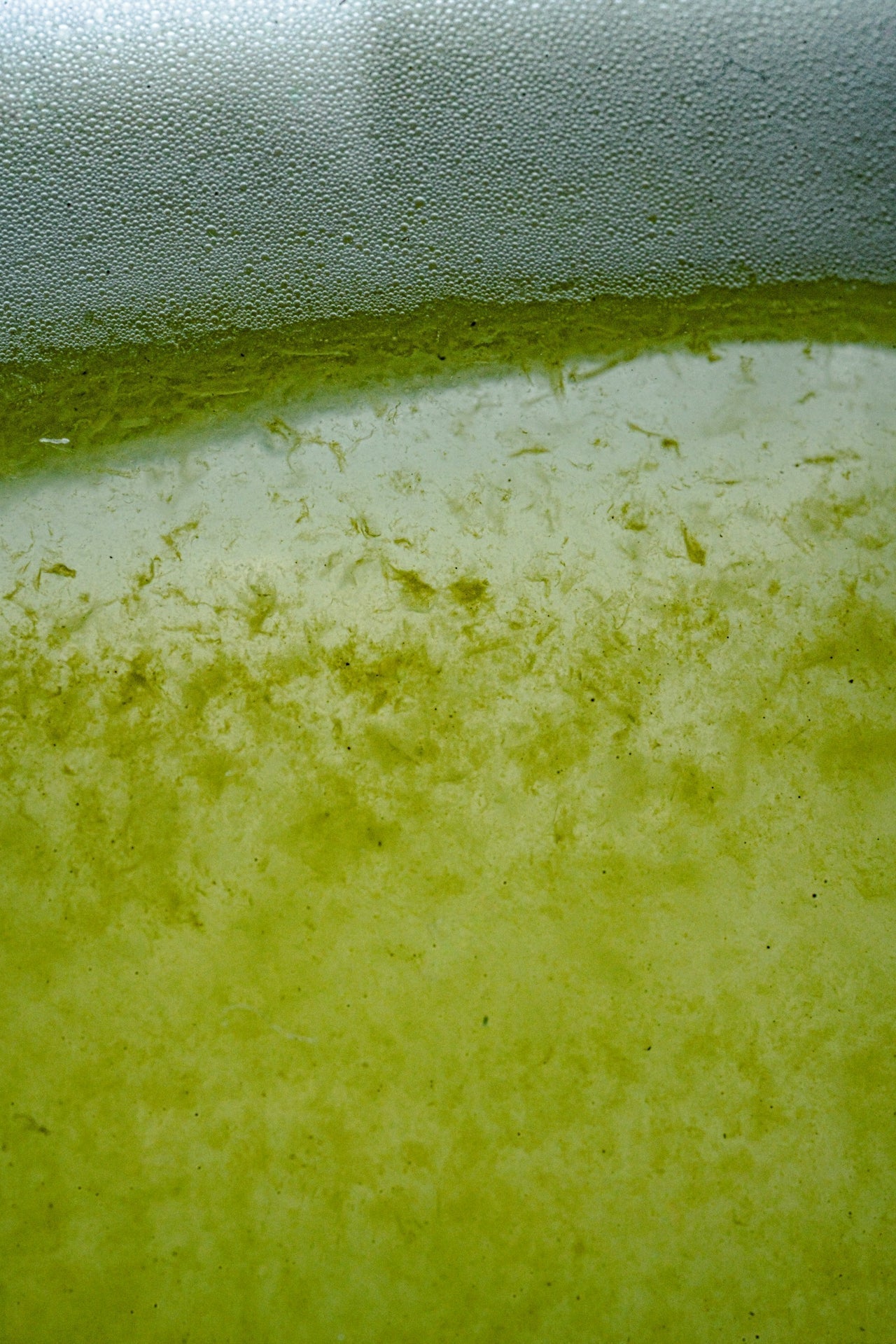 Osmolality and why it matters so much in hydration
