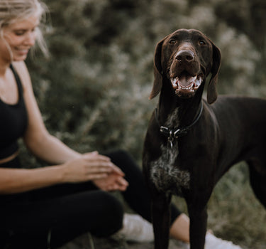 Motion og gode vaner - sådan holder du motivationen