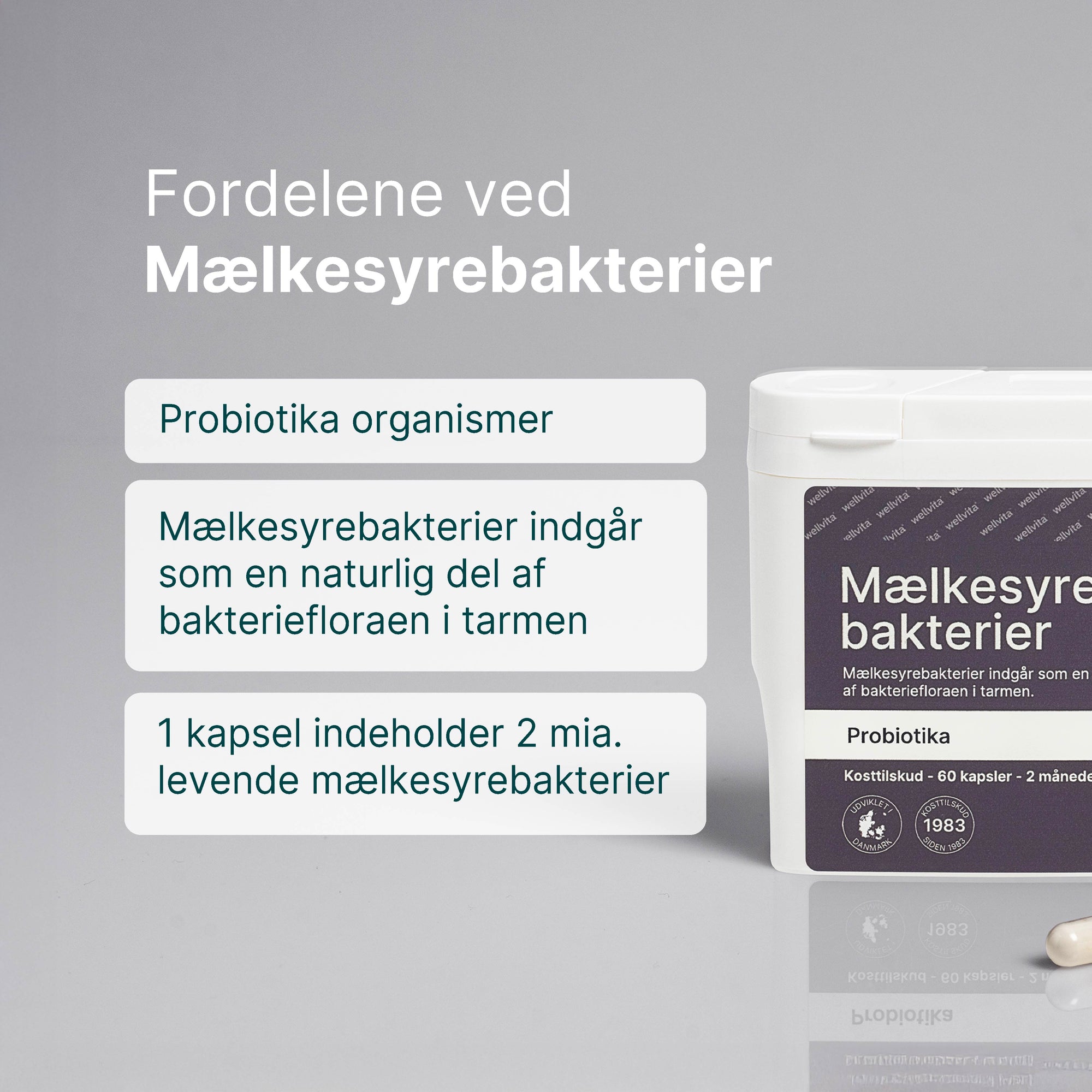 Mælkesyrebakterier som en naturlig del af bakteriefloraen i tarmen 