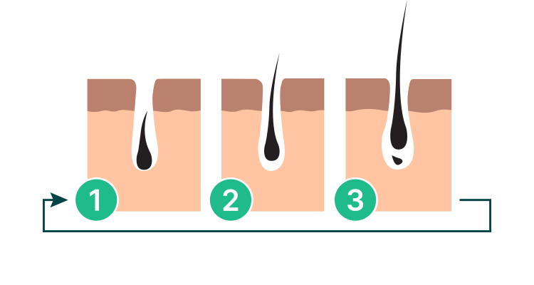 Cyklusen ved brug af Hair Grow fra Wellvita