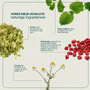 Sedaforte kosttilskud med citronmelisse, humle, kamille og schizandra for afslapning og bedre søvn, 60 tabletter.