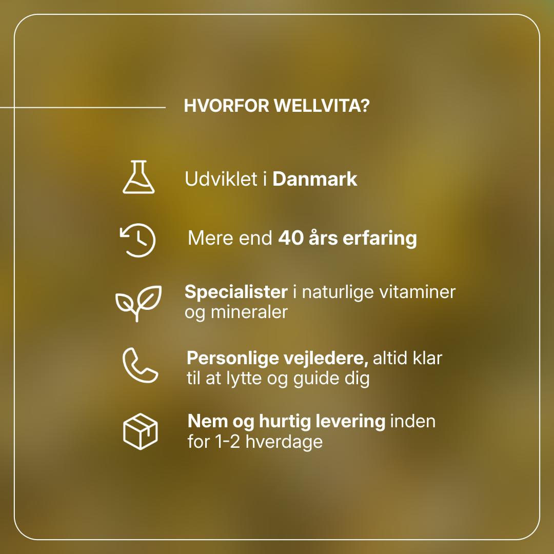 Sedaforte kosttilskud med citronmelisse, humle, kamille og schizandra for afslapning og bedre søvn, 60 tabletter.