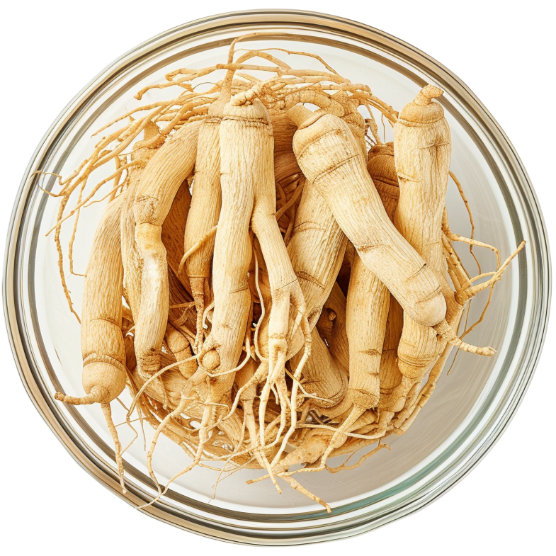 Ginseng i en glasskål