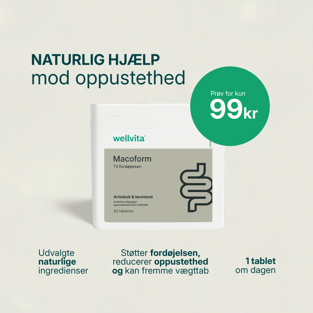 Macoform kosttilskud med artiskok- og mælkebøtteekstrakt til leverafgiftning og fordøjelsesbalance, 60 tabletter.