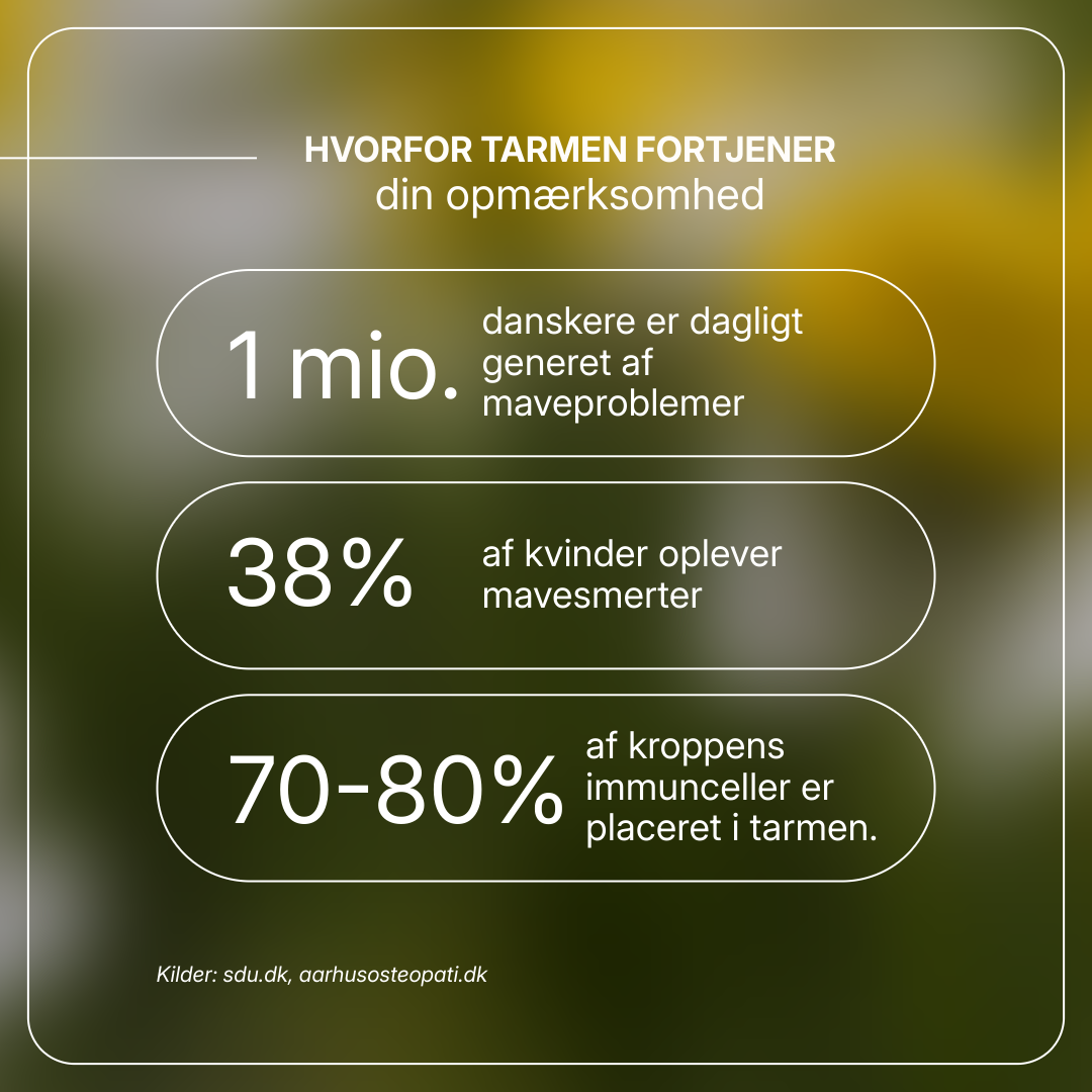 Macoform kosttilskud med artiskok- og mælkebøtteekstrakt til leverafgiftning og fordøjelsesbalance, 60 tabletter.