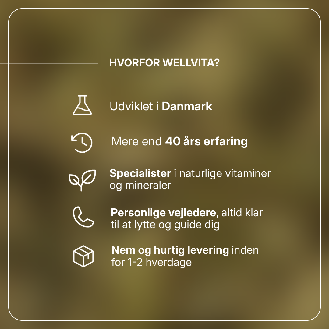 Macoform kosttilskud med artiskok- og mælkebøtteekstrakt til leverafgiftning og fordøjelsesbalance, 60 tabletter.