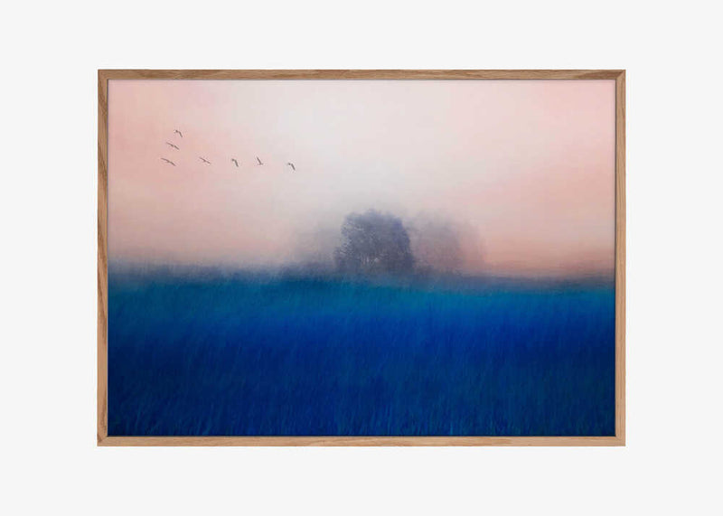 The Tree on the Blue