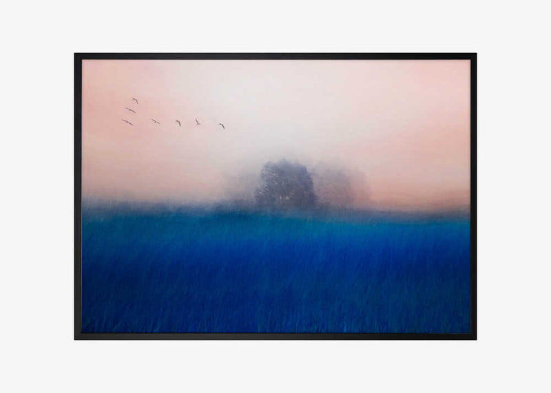 The Tree on the Blue