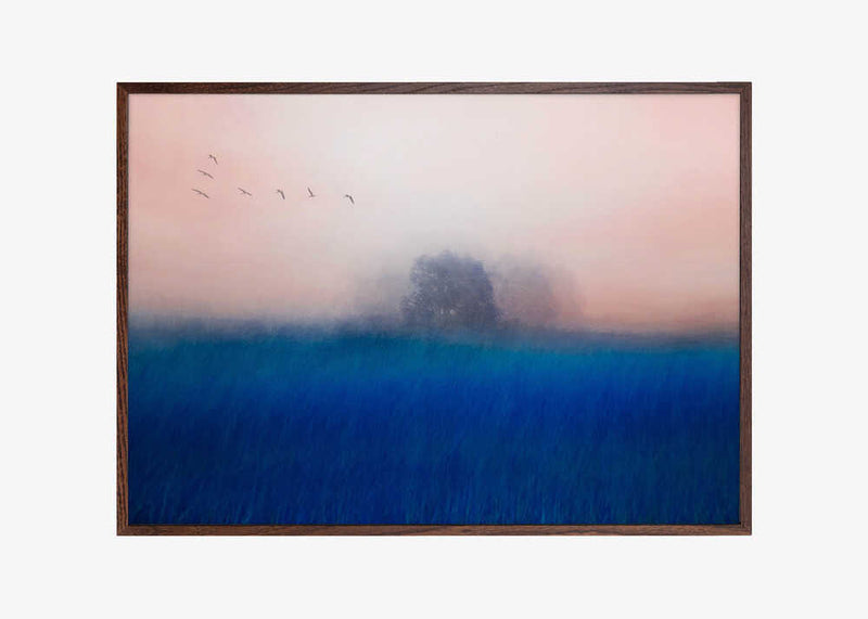 The Tree on the Blue