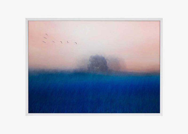 The Tree on the Blue