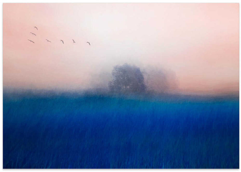 The Tree on the Blue