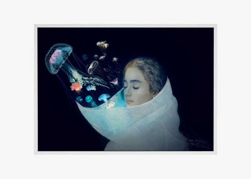 Jellyfish - The Queen of the sea