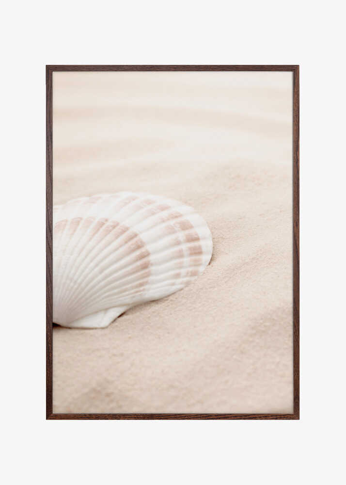 Shell_3