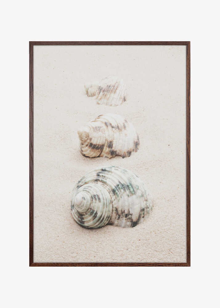 Shells