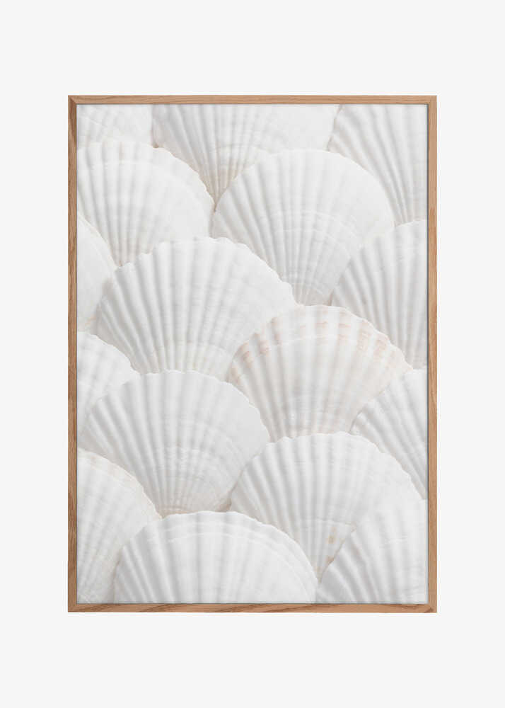 Shells_3