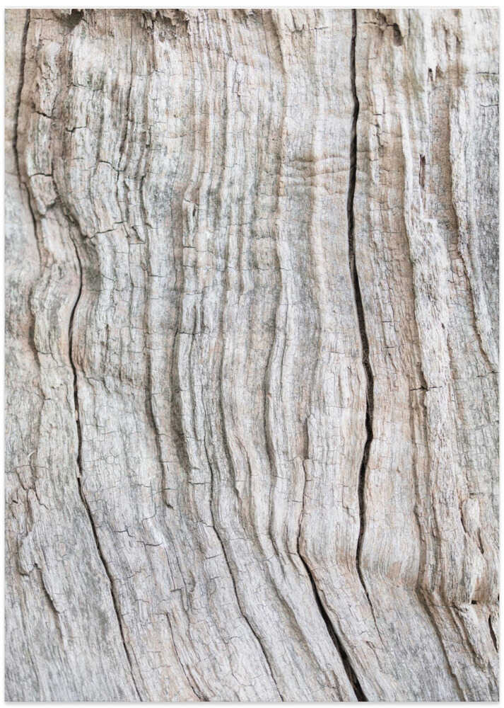 Wood Pattern