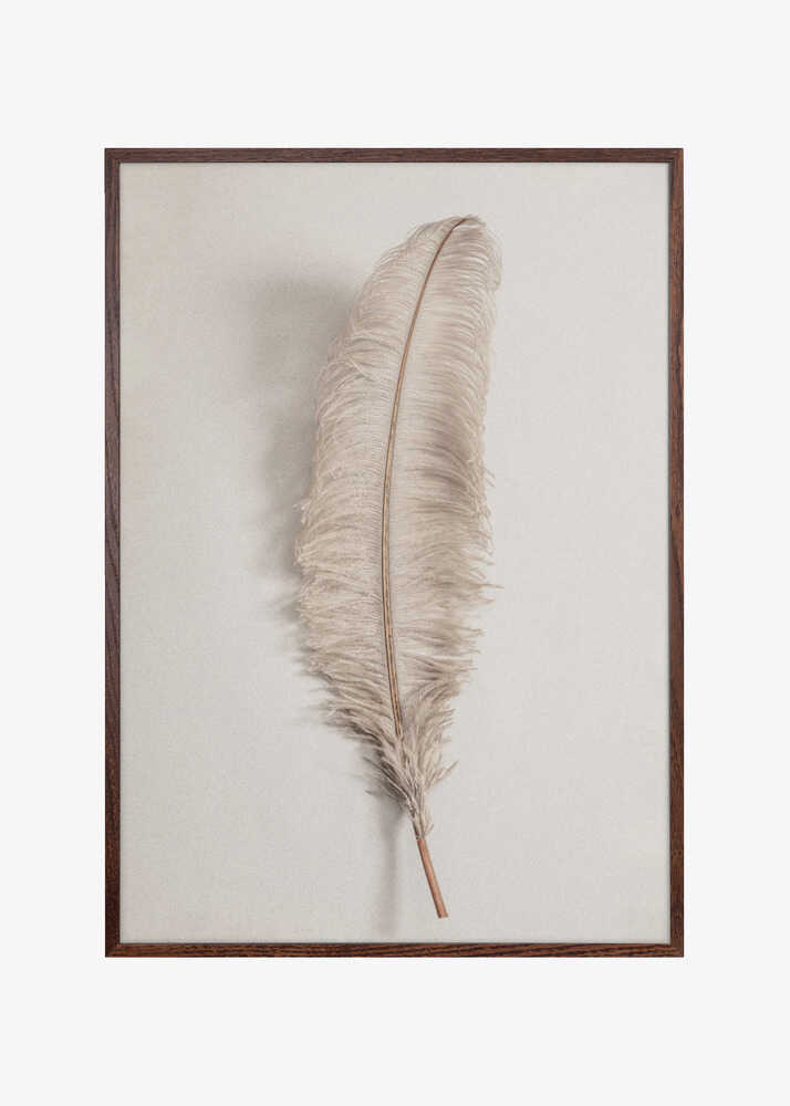 Feather_002