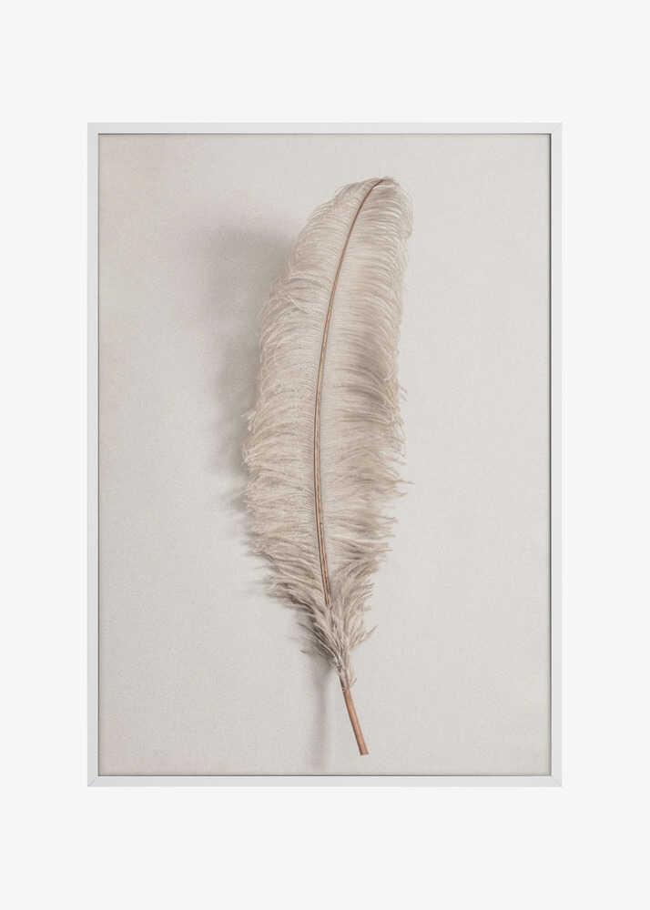 Feather_002