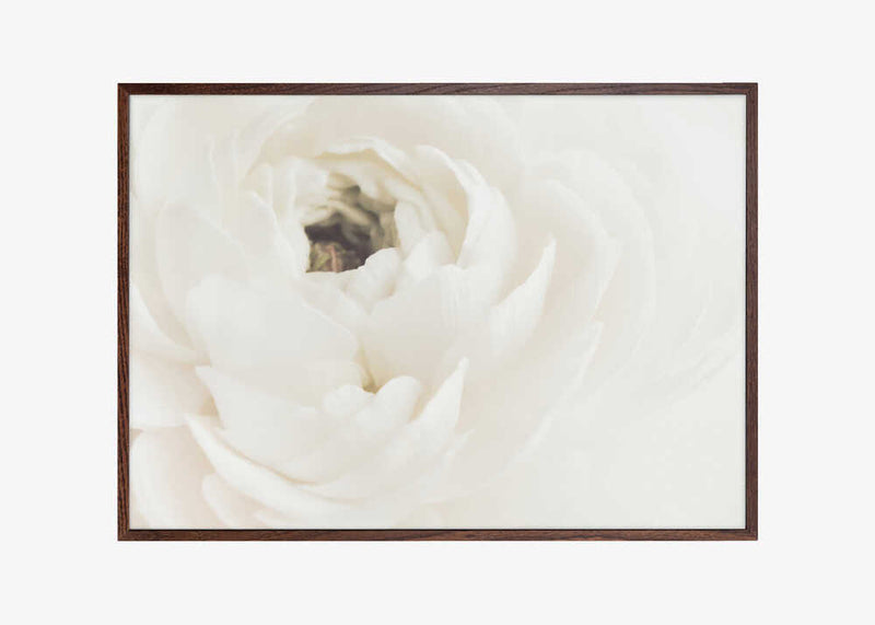 White Flower 02