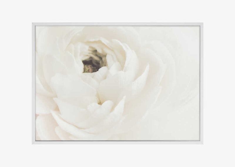 White Flower 02