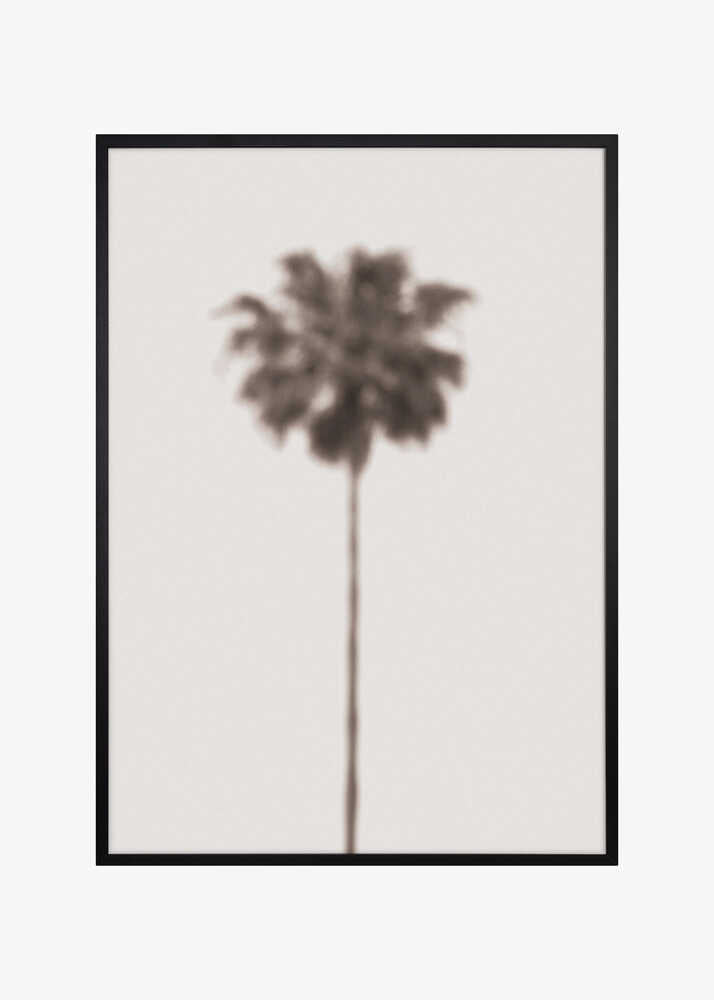 Palm Blury