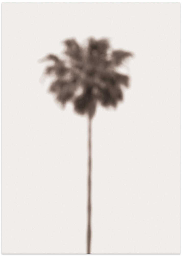 Palm Blury