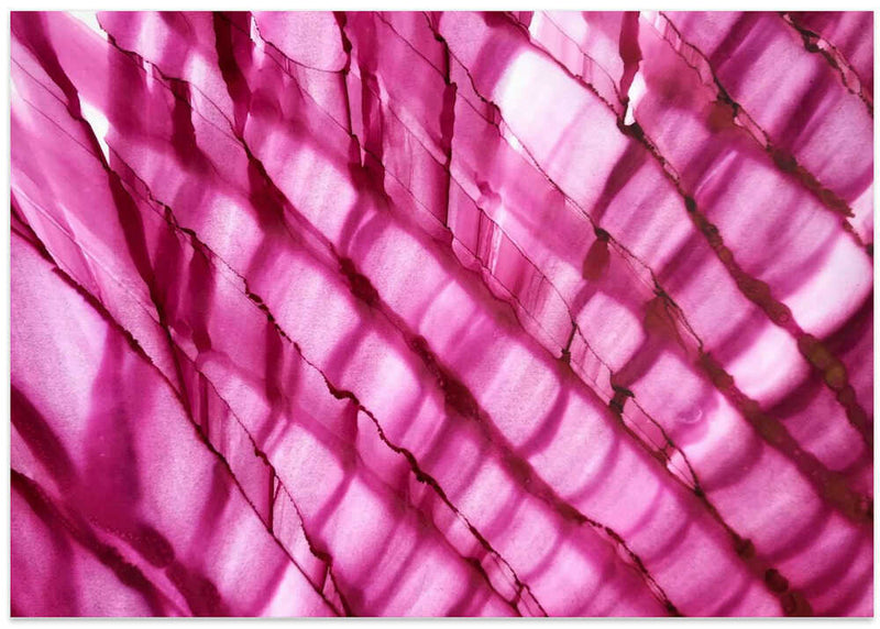 Raspberry Ripple horizontal