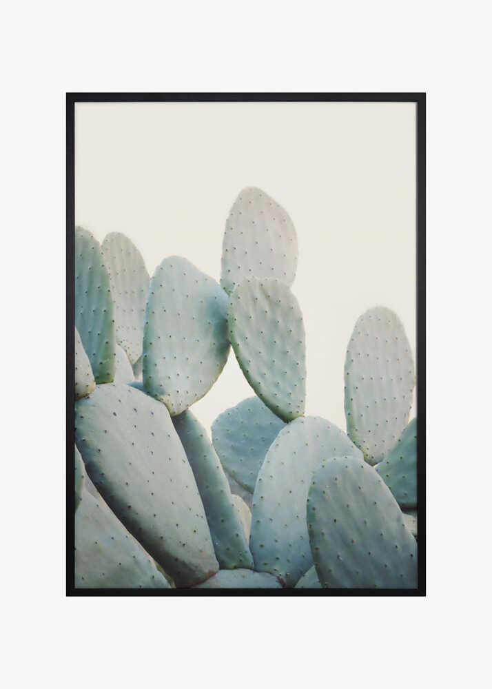 Pastel Cacti