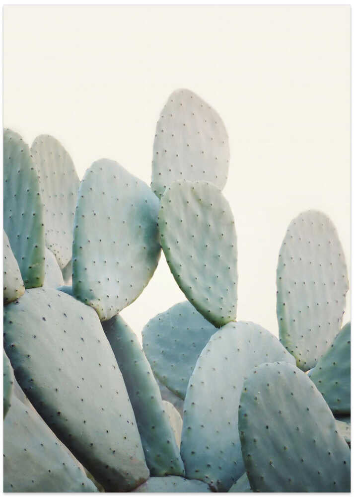 Pastel Cacti