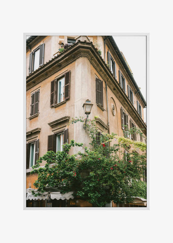 Botanical Trastevere Rome ||