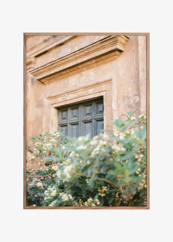 Botanical Trastevere Rome