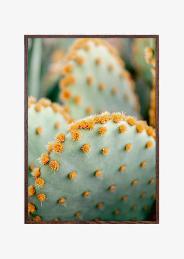 Orange and Green II - Marrakech botanical photography