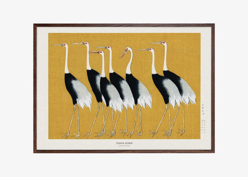 Japanese Red Crown Crane