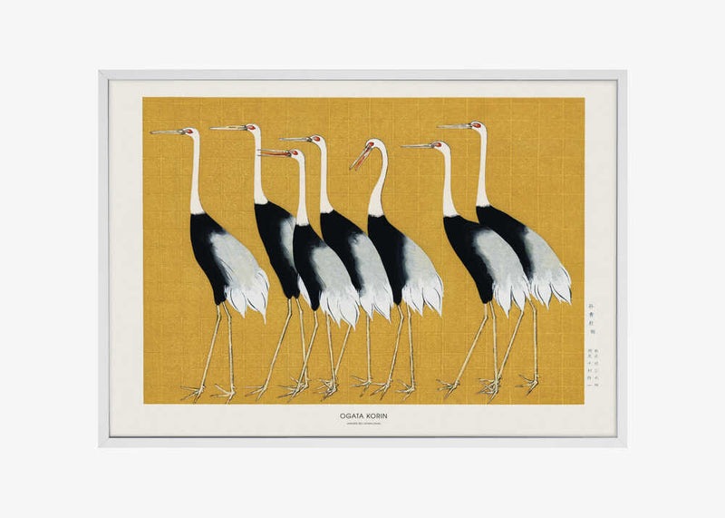 Japanese Red Crown Crane