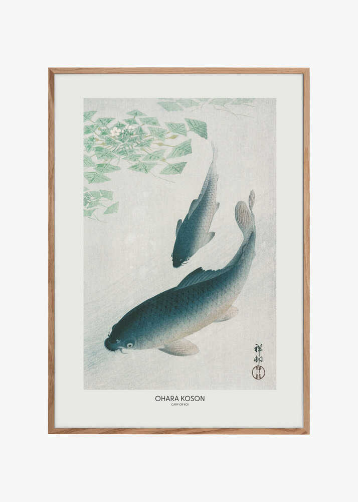 Carp Or Koi
