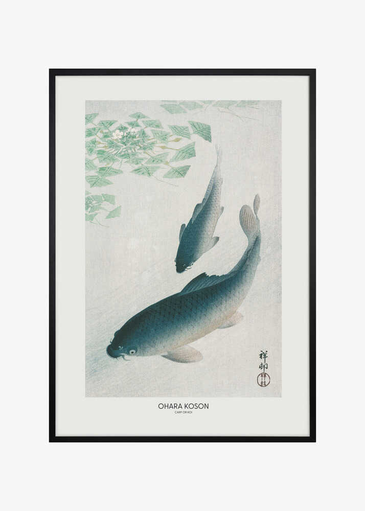 Carp Or Koi