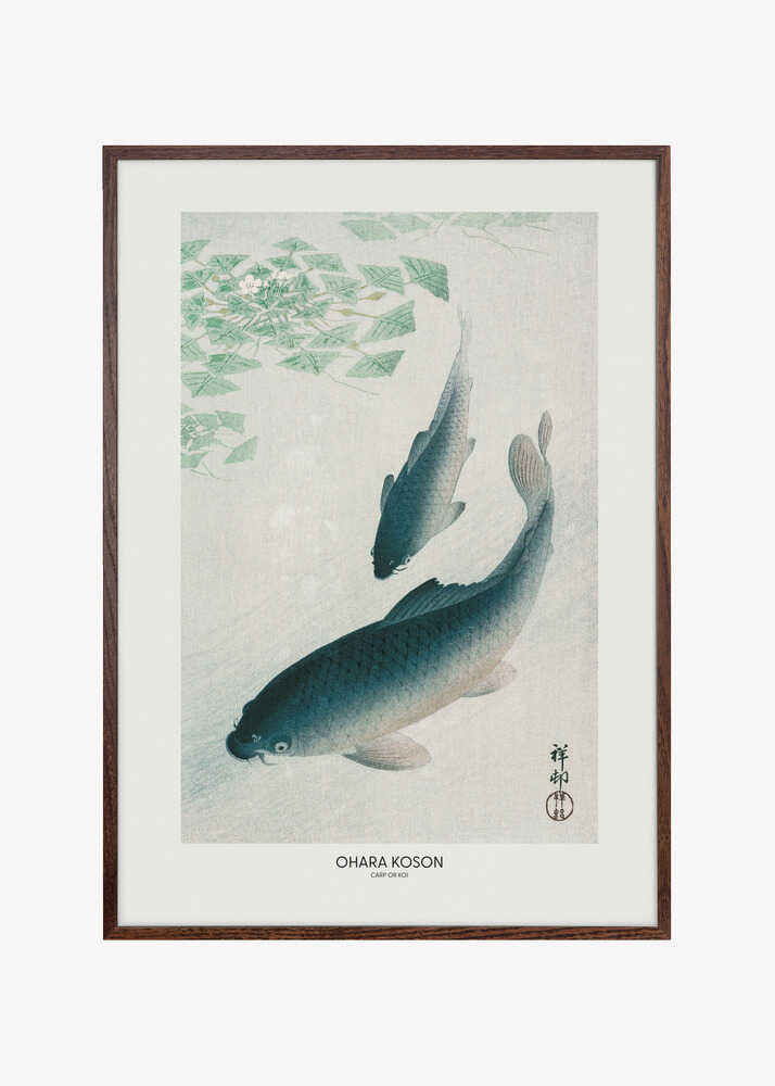 Carp Or Koi