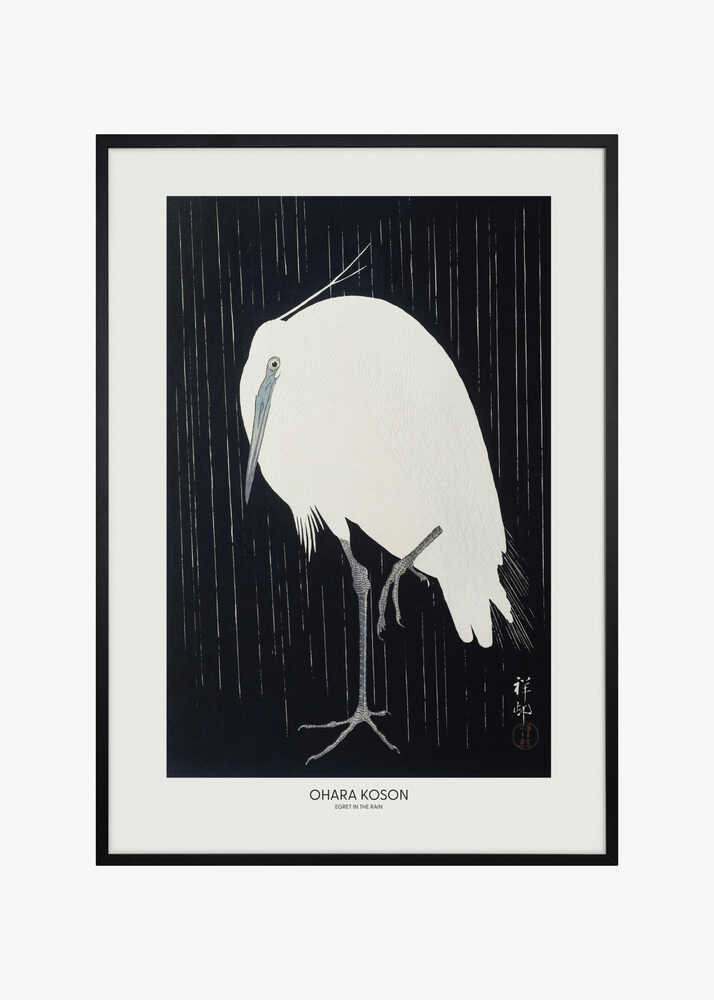Egret In The Rain