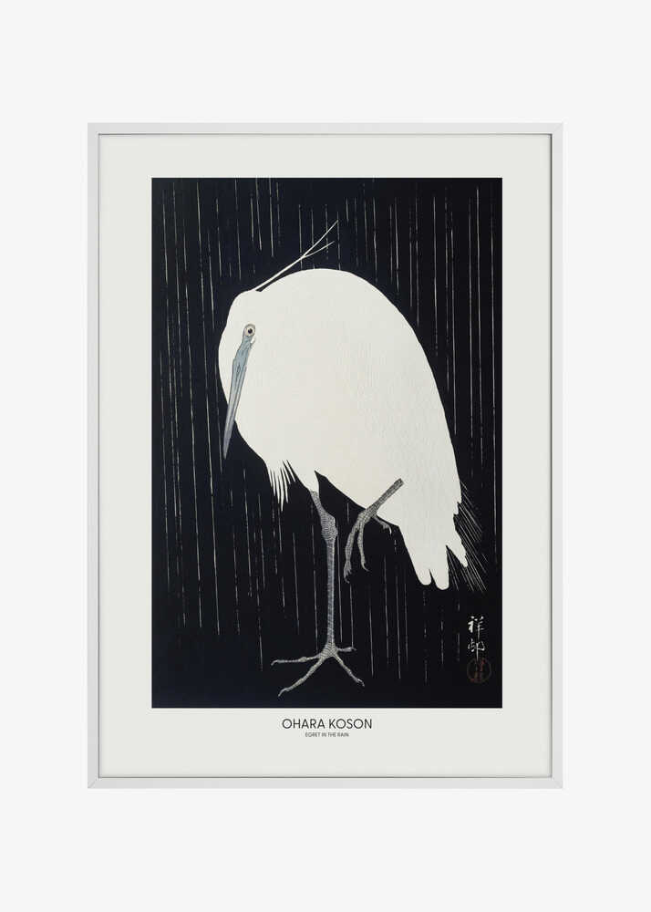 Egret In The Rain