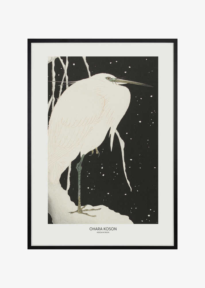 Heron In The Snow