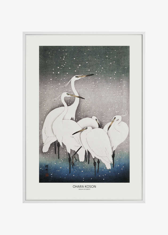 Group Of Egrets