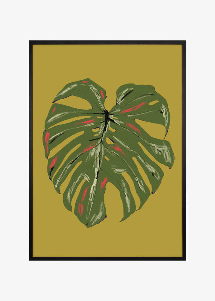 Monstera Leaf Green
