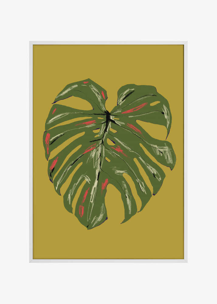 Monstera Leaf Green