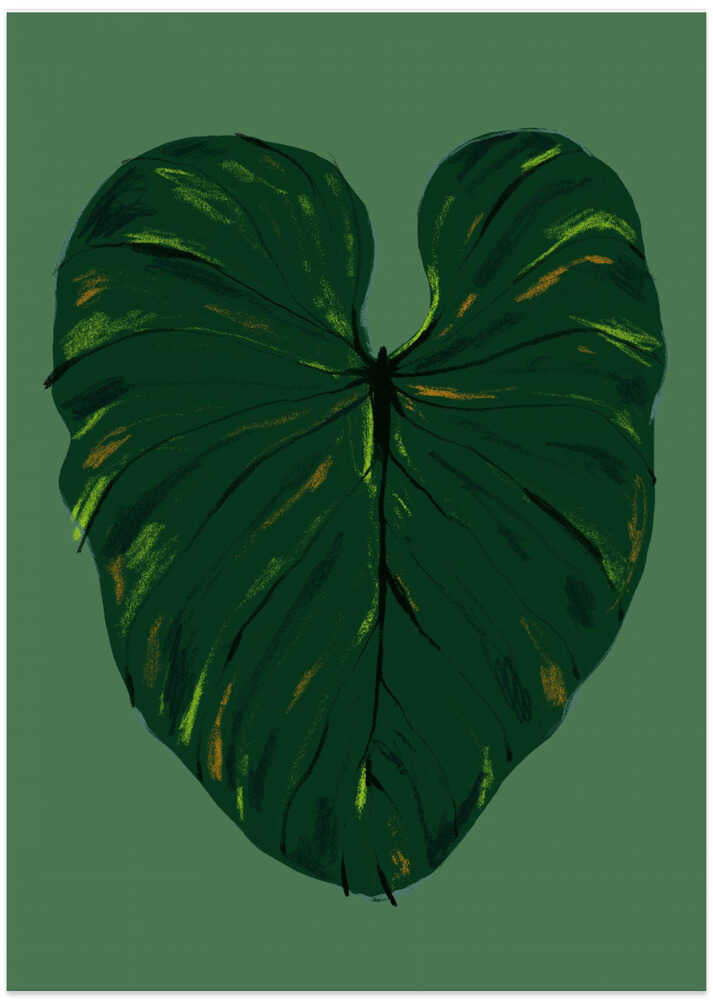 Philodendron Gloriosum Green