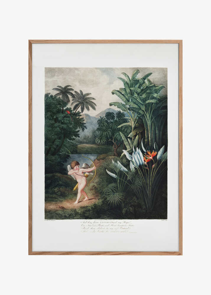 Cupid Inspiring Plants with Love from The Temple of Flora (1807)