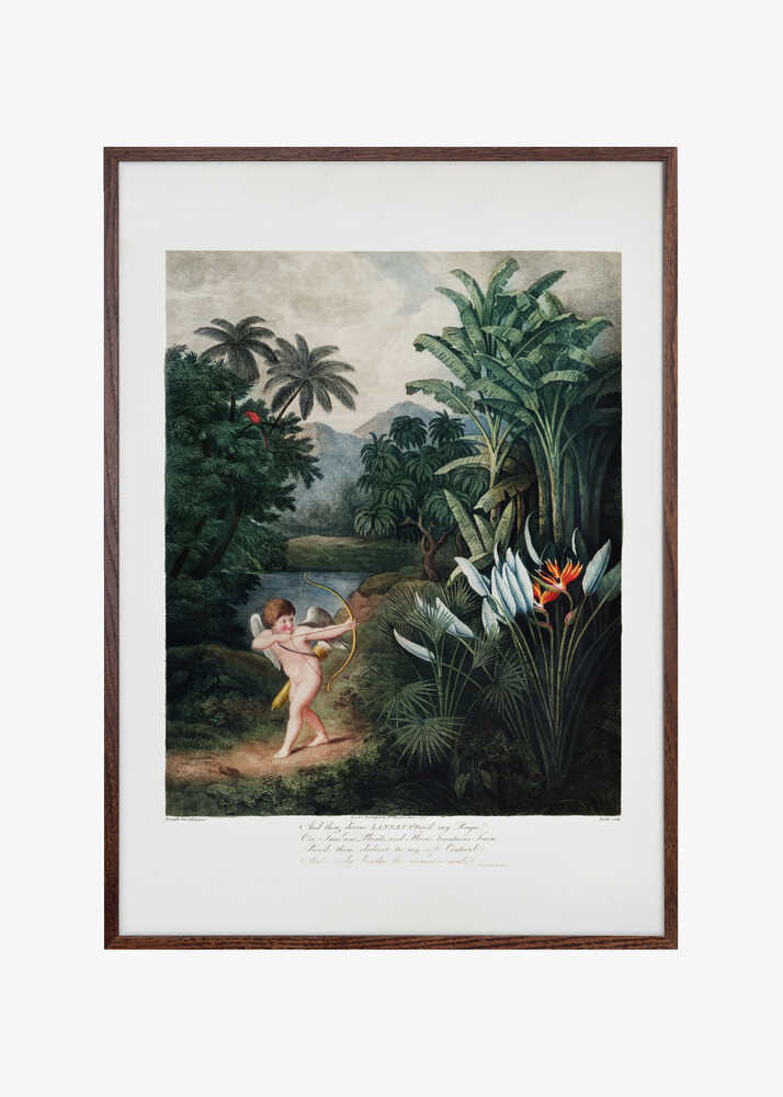 Cupid Inspiring Plants with Love from The Temple of Flora (1807)