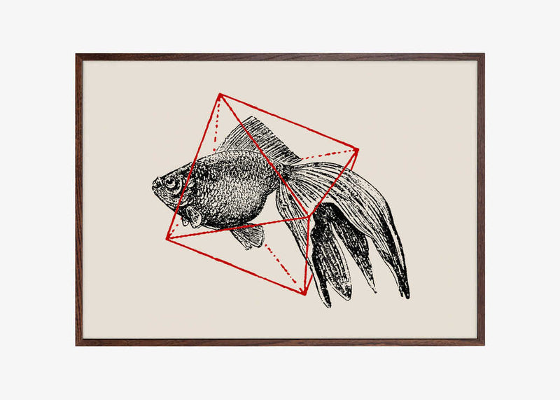 Fish In Geometrics Nº3