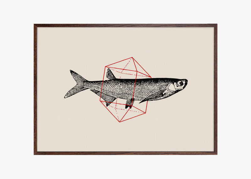 Fish In Geometrics Nº2