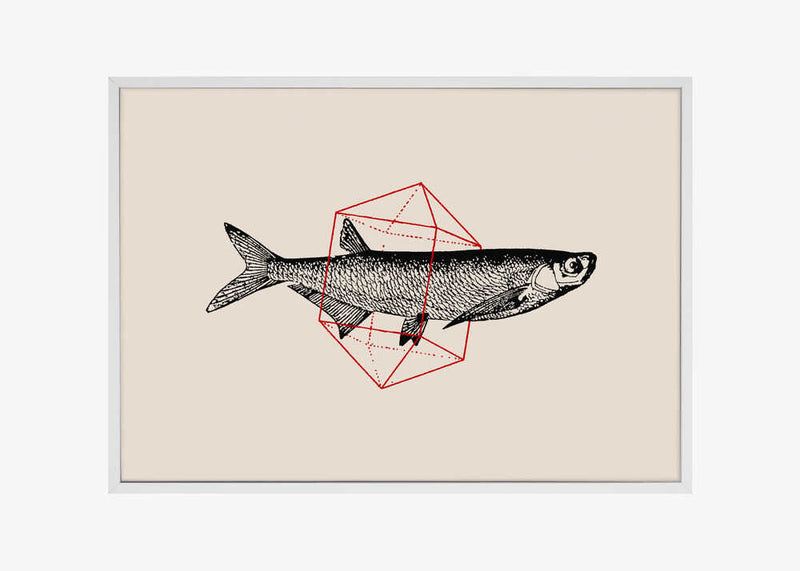 Fish In Geometrics Nº2